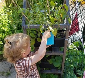 Kinderopvang Natuur-luck foto 9