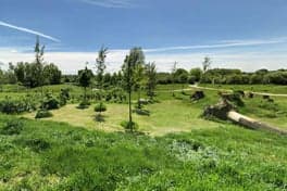 Monkey Moves BSO Rheden foto 6