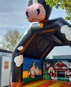 Amfiera BSO De Bosuil foto 4