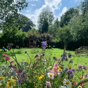 Kinderopvang De Tuin van Meta 2