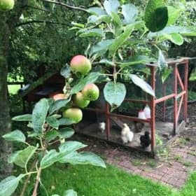 Kinderopvang De Tuin van Meta foto 7