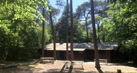 Monkey Moves BSO Koningsweg foto 4