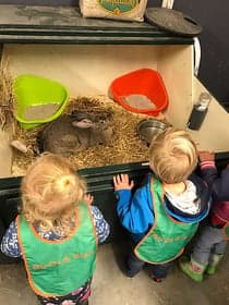 KDV Bij Ot&Sien, locatie Hof van Saksen foto 6