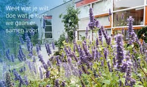 Basker - Gabrie Mehen foto 7