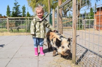Bij ZON! Thuis scharrel peuters foto 5