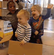 SDK Rozemarijn foto 5