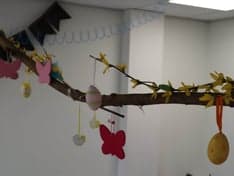 BSO Oudehaske foto 7