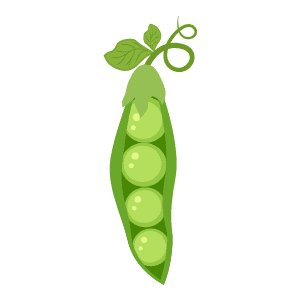 Kindercentrum De Kleine Tuin B.V. foto 9