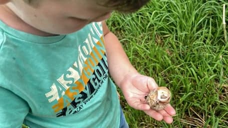 Villa LanterFant B.V. foto 6