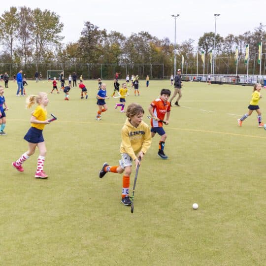 BSO Wouterland foto 4