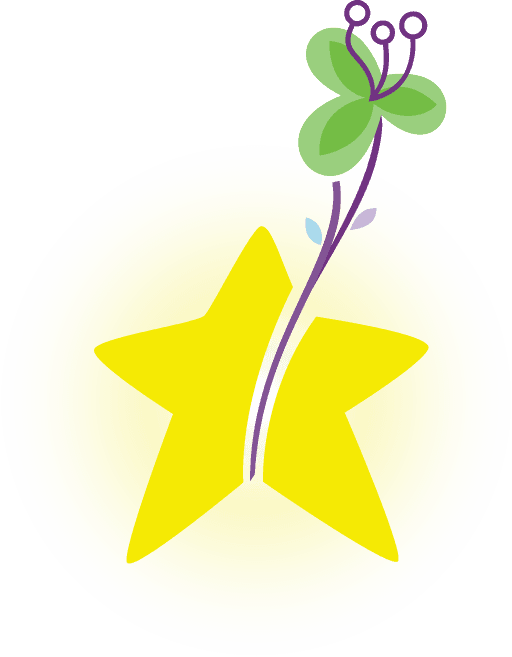 Hadassa Kinderdagverblijf bv 3