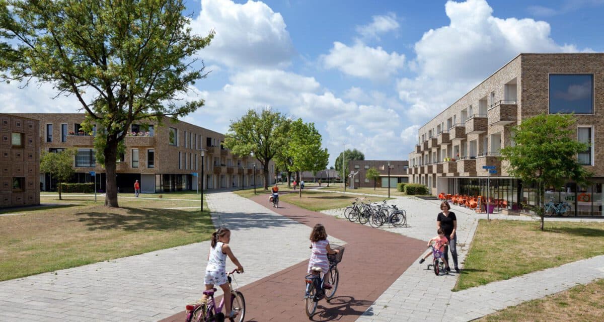 BSO Berflo Es foto 8