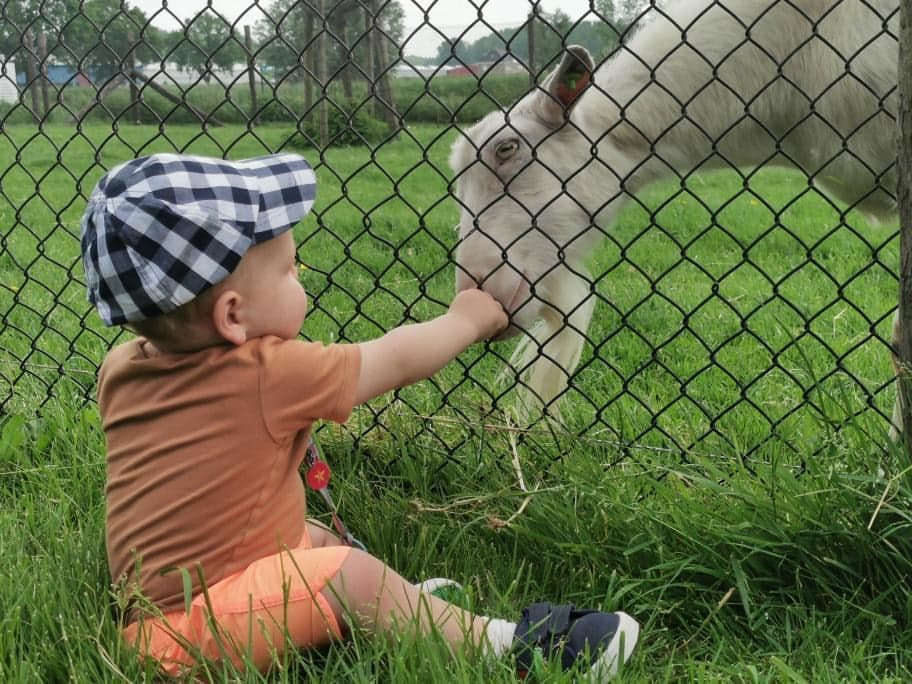 Kinderopvang de Koeienwei, locatie Ooievaarsnest 2