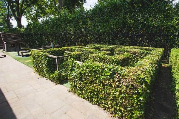 peuterdagopvang Snoekenveen foto 8