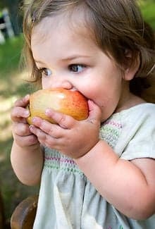 KDV 't Scheperke foto 4