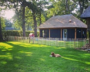 KDV 't Scheperke foto 5