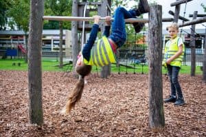 Flierefluiters foto 5