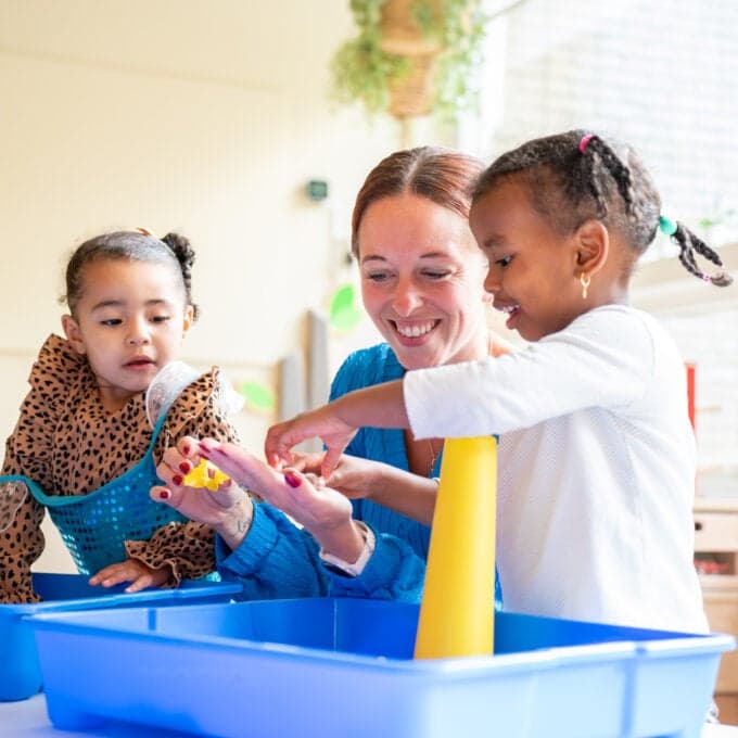 Flierefluiters foto 7