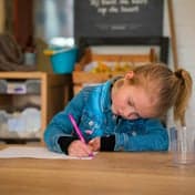 Flierefluiters foto 9