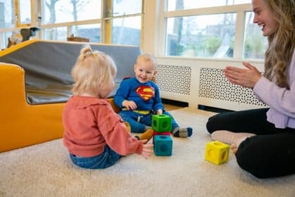 Flierefluiters foto 10