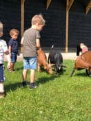 Fontana aan de Ganzepan 3