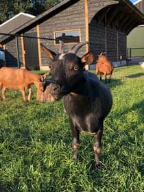Fontana aan de Ganzepan foto 5