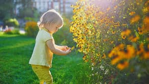 Kinderopvang Piccolini B.V. foto 5