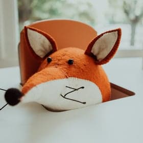 Roetsj kinderopvang foto 6