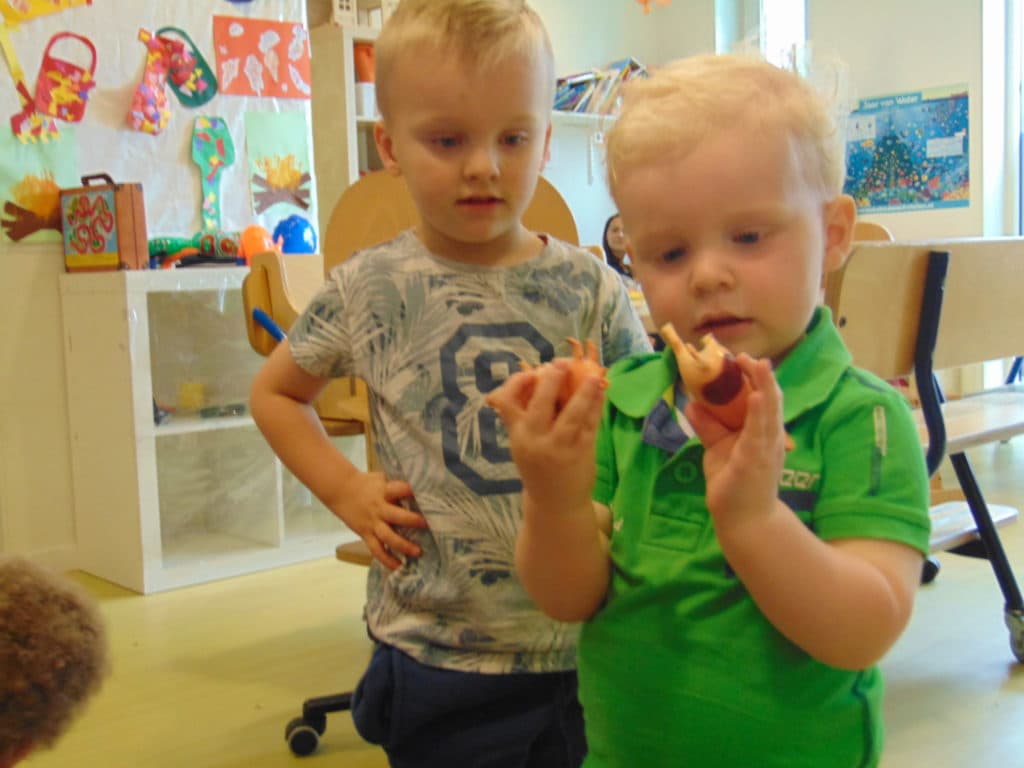 BSO Lijsternest Plankier 2