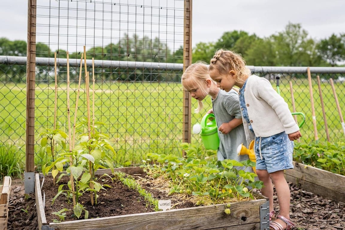 Kinderdagverblijf Spelendwijs 3