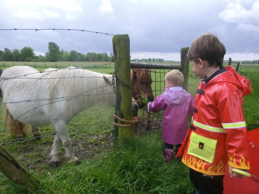 Thuishuis de Torteltuin foto 6