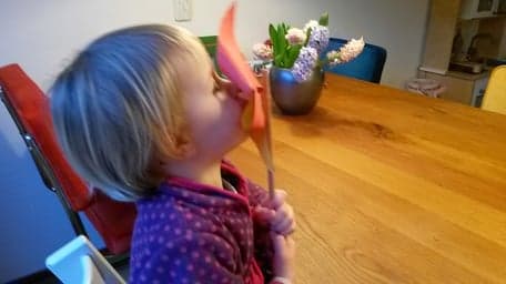 Thuishuis de Torteltuin foto 7