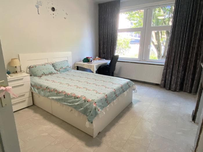 De kleine Schalk foto 9