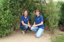 Buitenschoolse opvang De Kleine Zeester Westendorp 2