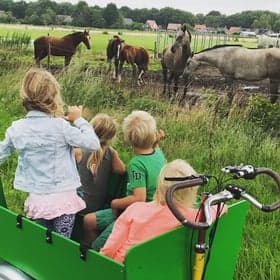 Peuteropvang de Drift foto 8