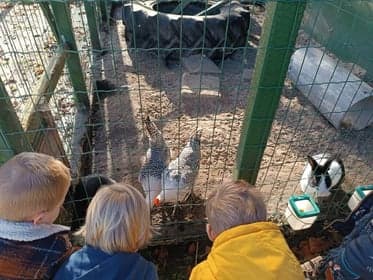 Het Klavertje foto 4