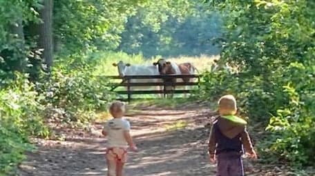 Kinderdagverblijf Skik 2