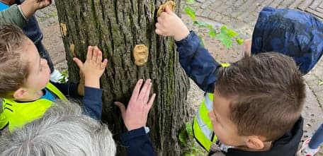 bSO Beestenboel foto 6