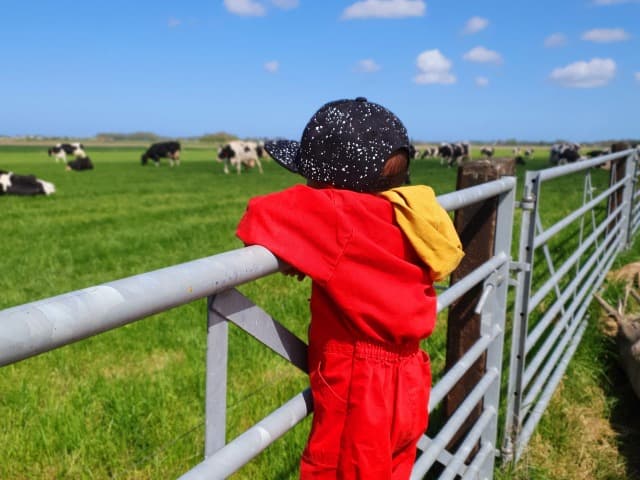 Kinderdagverblijf Schellach 2