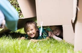 BSO de Wiesneuzen foto 6