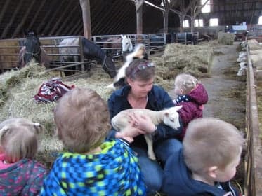 Kinderdagverblijf MamiNet foto 7