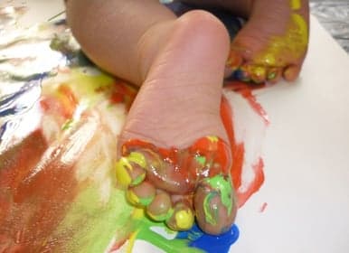 BSO de Vlinder foto 4