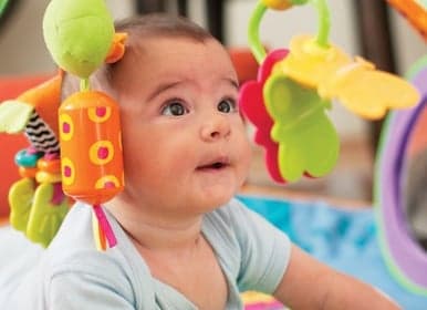 BSO de Vlinder foto 5