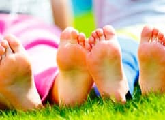 BSO de Vlinder foto 8