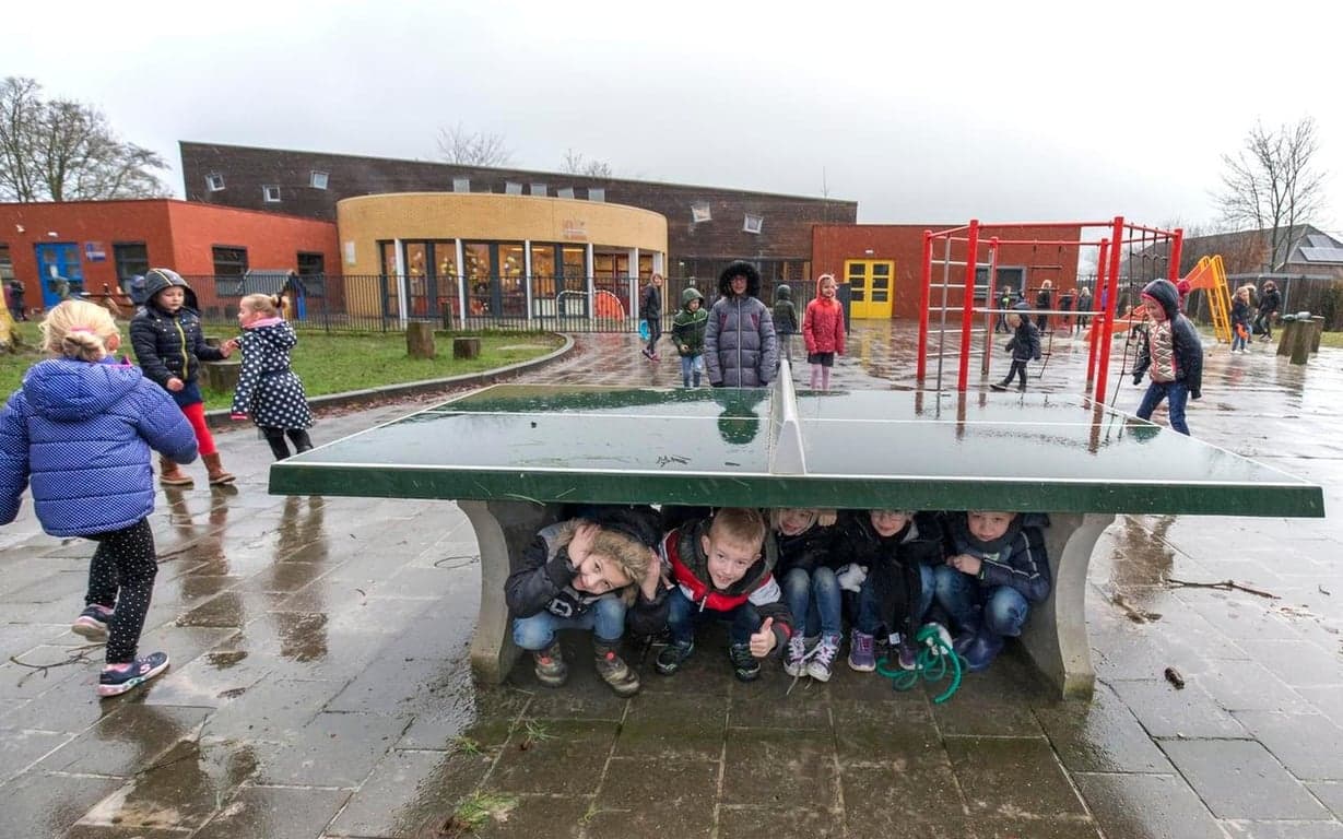 BSO Paadwizer foto 5