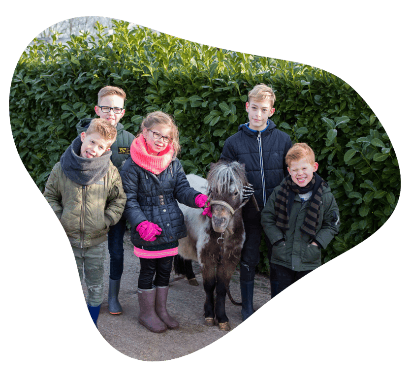 BSO Scharrelnest foto 4