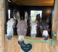 Borgjes Boerderijtje 2