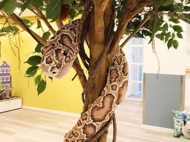 Basker - Alexander Numankade