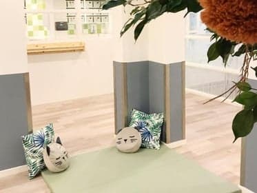 Basker - Alexander Numankade foto 6