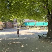 BSO De Boomhut dependance foto 8